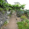 Plants: image 137 Of 208 Thumb